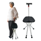 Cane Seat with Light & Alarm