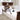 Stander 30" Safety Bed Rail & Pouch