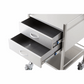 Pacific Medical Stainless Steel Trolley Two Drawer