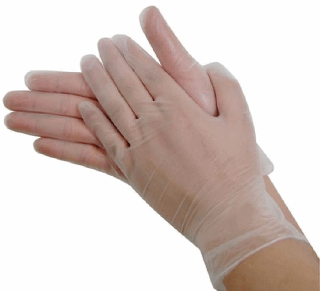 INTOCO Medical Examination PVC Vinyl Powder Free Disposable Gloves