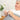 GreenyCare Paper Pill Cup - Patient | ToBe Health Care