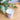 RediCare® Liquid Medicine Cup - 60ml | ToBe Health Care